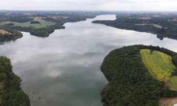 Imagem 3: Chácara em Campo Largo