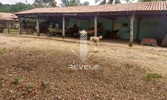 Imagem 2: Fazenda Município de Vila Propício  Go
