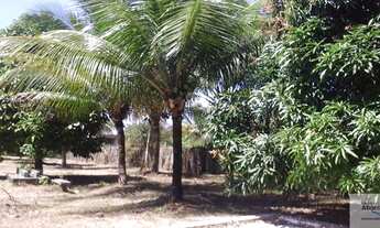 Imagem 5: Ilhéus - Terreno à venda, Olivença - Bahia
