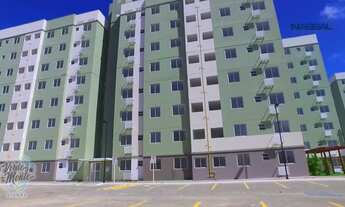 Imagem 2: Verde Monte Sierra no Rosa Elze - São Cristóvão - SE