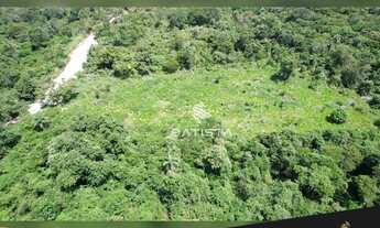 Imagem 7: Fazenda de 100 alqueires, 56 km Palmas