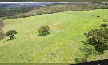 Imagem 4: Fazenda 45 Alqueires, 46 km Palmas