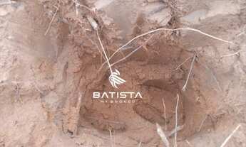 Imagem 7: Vendo Fazenda 1.194 alqueires, 312 km de Palmas