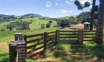 Imagem 2: Sítio a Venda em Bueno brandão