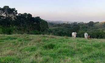 Imagem 2: O terreno que você procura está aqui !
