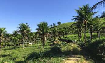 Imagem: Sítio à venda com 717.000 m² em Pau D´óleo