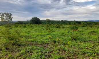 Imagem 7: Chácaras de 20 mil Mt em maripotaba 80 km de Goiânia
