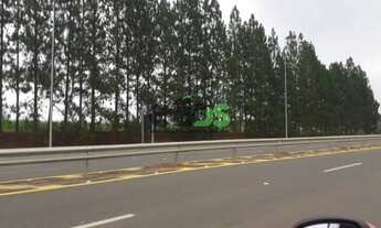 Imagem: Sitio, na beira da rodovia, ótimo para