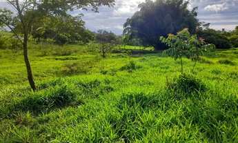 Imagem 4: Chácaras de 20 mil Mt em maripotaba 80 km de Goiânia
