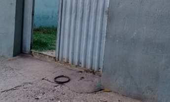 Imagem 5: 11 kitnets a venda no bairro Don Aquino, a 50 m da Av. Carmindo de Campos