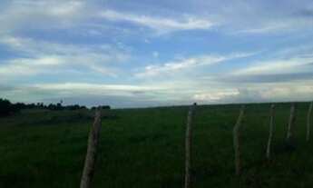 Imagem 4: FAZENDA Fazenda / sítio com venda por R$1.200.000