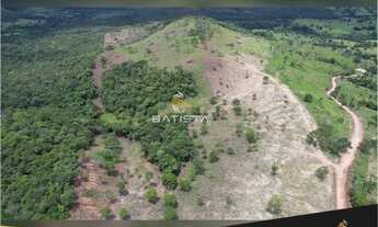 Imagem 5: Fazenda 19.5 Alqueires, 48 km Palmas