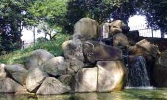 Imagem 2: JARDIM AVELINO - TERRENO - LOCAL NOBRE