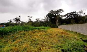 Imagem 7: Terrenos em Praia de Leste (Jd. Jacarandá)