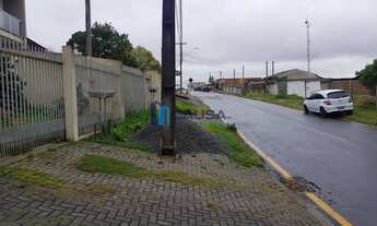 Imagem 4: Araucária - Casa Padrão - Thomaz Coelho