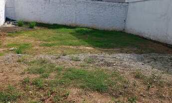 Imagem 5: Casa 2 quartos para Locação Jardim Edi, São Paulo