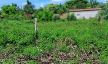 Imagem: Terreno em Praia de Jacumã à venda, Tamanho
