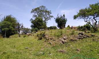 Imagem 7: Excelente Sitio Localizado em Sangão/SC