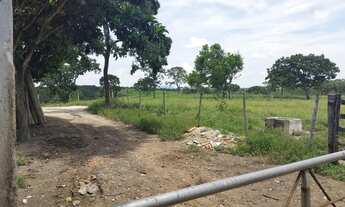Imagem 7: Fazenda de 45 hectares casa 3 quartos Cidade de esmeraldas