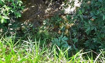 Imagem 2: Terreno à venda, 21000 m² por R$ 210.000 - Zona Rural - Planalmira/GO