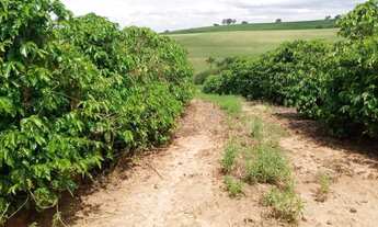 Imagem 4: FAZENDA A VENDA EM SÃO ROQUE DO CANAÃ, ES