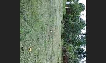 Imagem 6: Terreno top Terreno / lote com venda por R$9.500