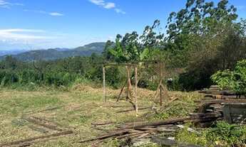 Imagem 6: Terreno para sítio