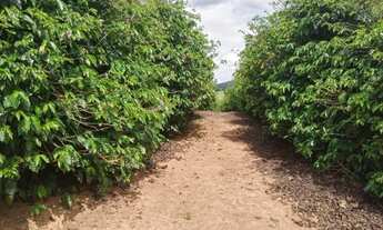 Imagem 3: FAZENDA A VENDA EM SÃO ROQUE DO CANAÃ, ES