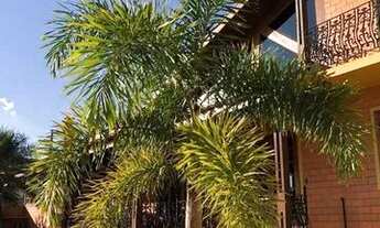 Imagem 2: Locação e Venda Casa Tereza Cristina