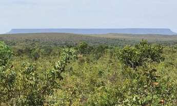 Imagem: ÁREA NO PARQUE ESTADUAL DO JALAPÃO - BIOMA