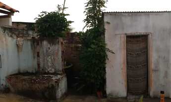 Imagem 5: Vendo este terreiro no Parque das Mangabas