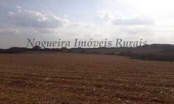 Imagem 6: Fazenda com 41 alqueires (Nogueira Imóveis Rurais
