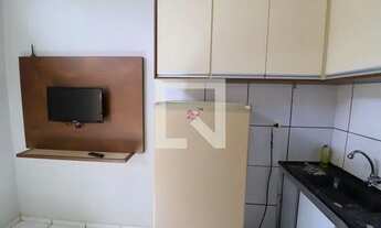 Imagem 6: Apartamento para Aluguel - Bom Jesus, 2 Quartos, 42 m2