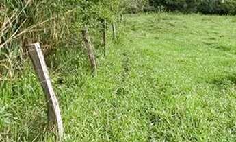 Imagem 4: Chácaras de mil mt cercada energia em damolandia !