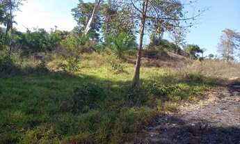 Imagem 2: Vende-se uma chácara em Heitorai-GO