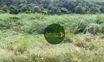 Imagem 7: Fazenda com 2 dormitórios à venda, 8712000 m² por R$ 17.100.000 - Zona Rural - Porangatu/G