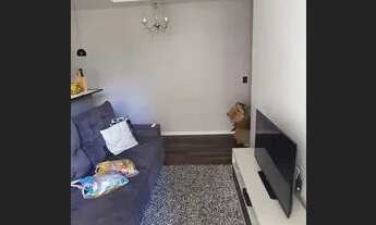 Imagem 2: Apartamento para Locação 58m²