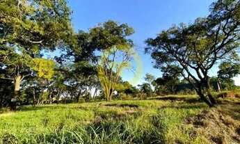 Imagem 2: Terreno MOGI MIRIM - SP