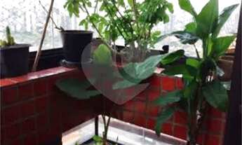 Imagem 6: São Paulo - Apartamento Padrão - SAÚDE