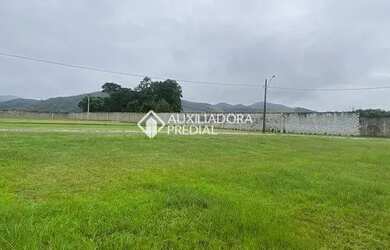 Imagem 6: CAMBORIú - Terreno Padrão - Santa Regina
