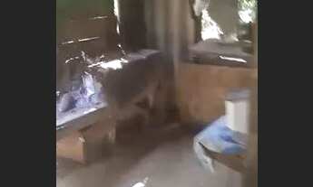 Imagem 3: Chacara na beira do riu uru