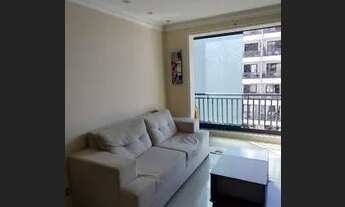 Imagem: GRAN PARK ÁRVORES