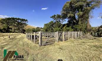 Imagem 2: Excelente Oportunidade Terreno/Gleba em Toledo, Sul de Minas