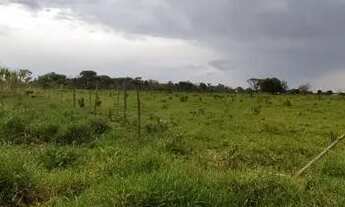 Imagem 6: Chácara de 6 hectares em Jaraguari, MS: Um Refúgio Tranquilo no Campo