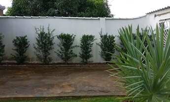 Imagem 6: Casa espaçosa confortável com jardim