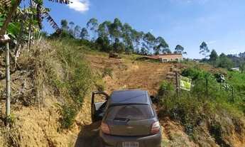 Imagem 4: Lote em granjeamento