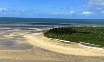 Imagem 2: Apartamento 100% vista Mar de 2 quartos para aluguel em Barra de Jangada - PE