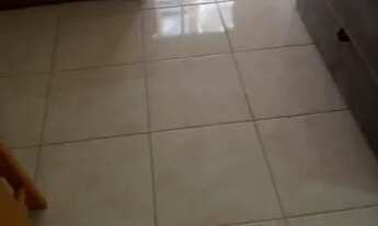 Imagem 4: Apartamento para aluguel possui 50 metros quadrados com 2 quartos em Cambuci - São Paulo