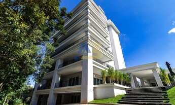 Imagem 2: CURITIBA - Apartamento Padrão - Mossunguê