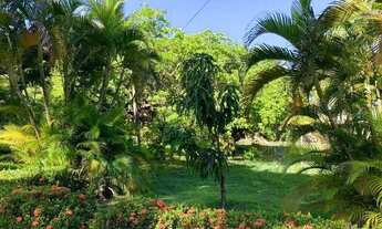 Imagem 4: Terreno à venda, 28680 m² por R$ 5.000.000,00 - Paupina - Fortaleza/CE